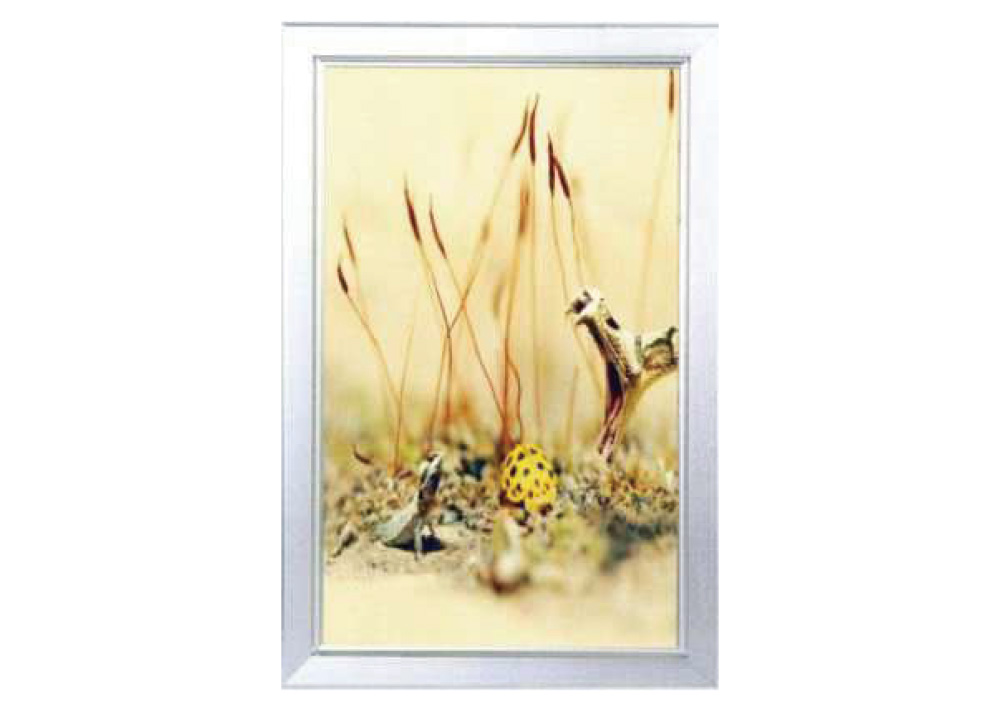 4CM Aluminium light frame